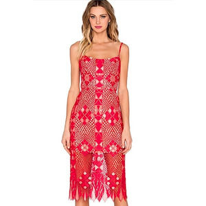 Revolve BCBGMazazria Alese Lace Bodice Midi Dress